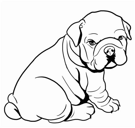 Bulldog coloring page