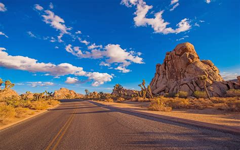 California Desert