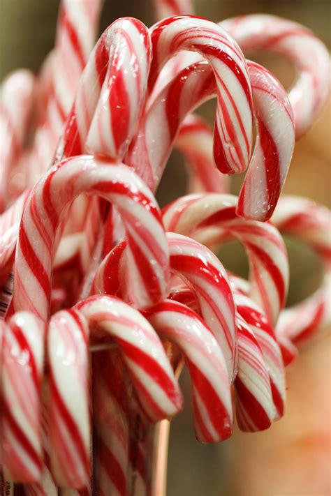 Candy Canes