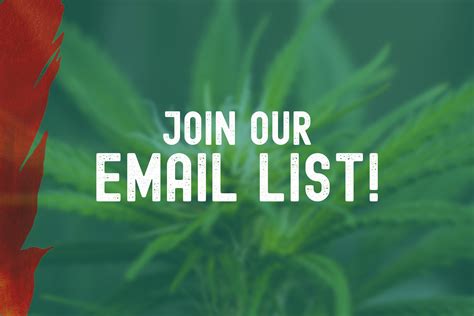 Cannabis Mailing Services