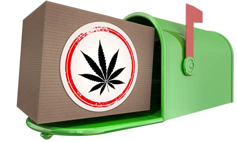 Cannabis Mailing Laws and Regulations