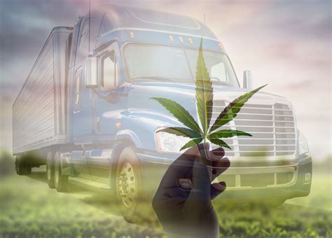 Description of Cannabis Transportation Laws