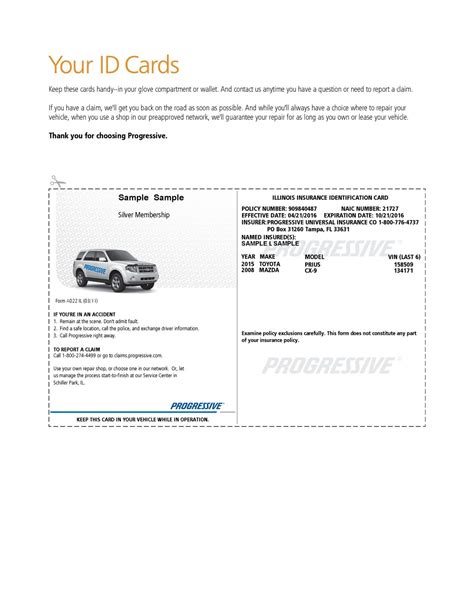 Car Insurance Card Example