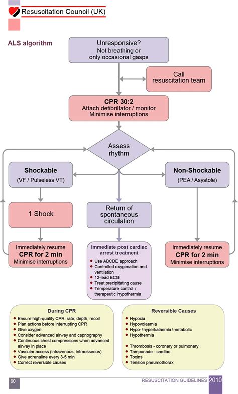 Cardiac Arrest Algorithm