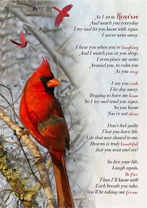 Cardinal Poetry