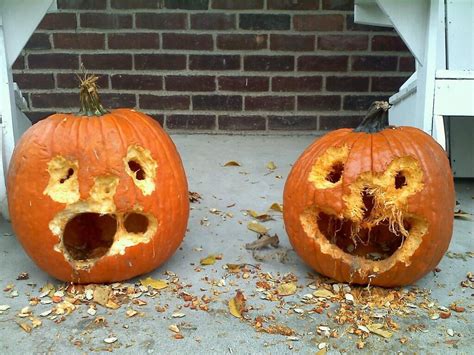 Carved squirrel pumpkin