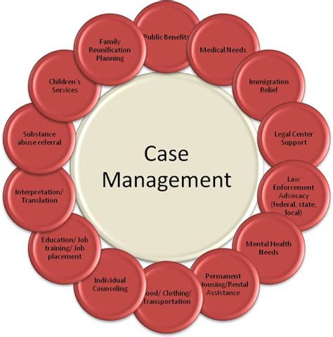 Description of Case Management Skills