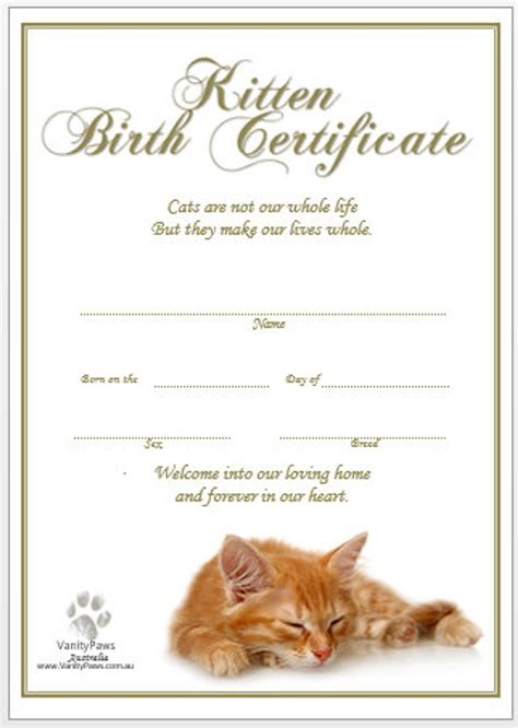 Cat Certificate Template