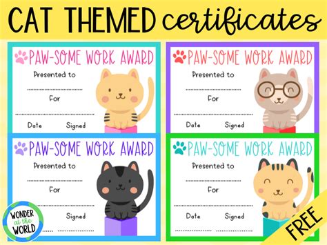 Cat Certificate Tips