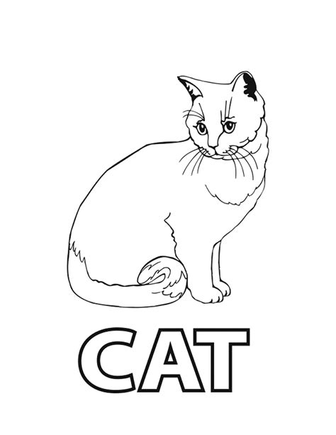 Cat coloring pages for education