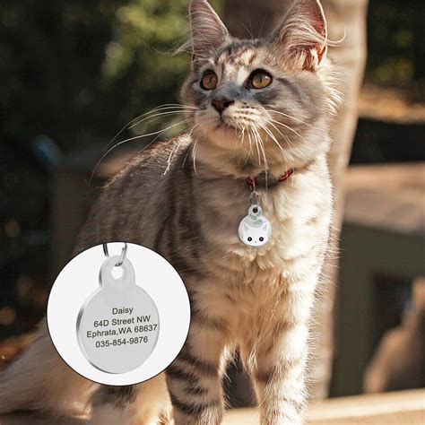 Cat Identification Tag