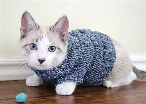 Cat Sweater Pattern 3