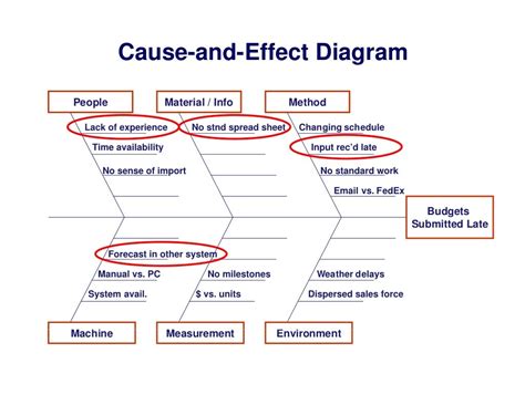 Cause and Effect Diagram