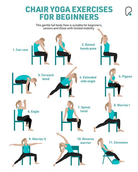 Chair Yoga Exercises