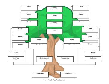 Common Challenges in Genealogical Research