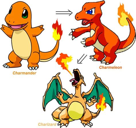 Charizard Evolution Line