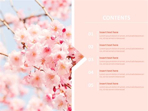 Cherry Blossom PPT Template Design