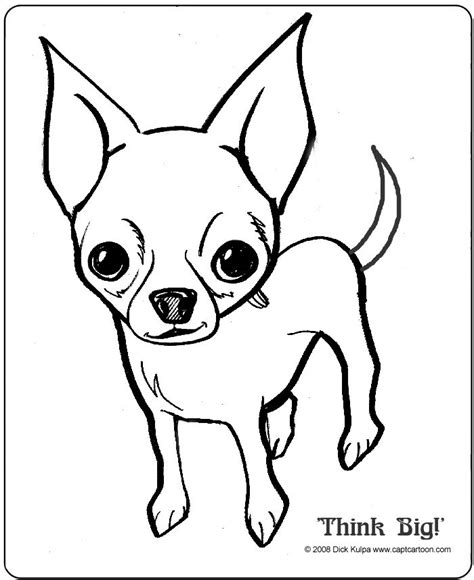 Chihuahua coloring page