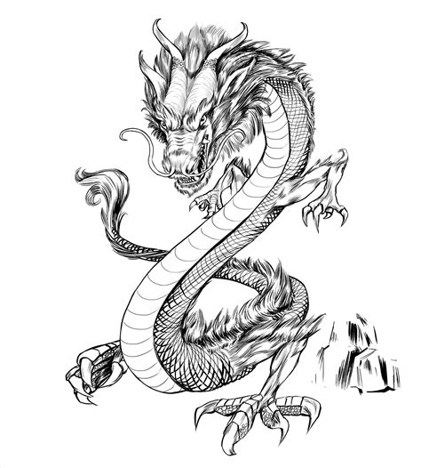 Chinese Dragon Drawing