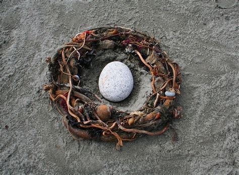 Coconut Altar Ideas for Inspiration