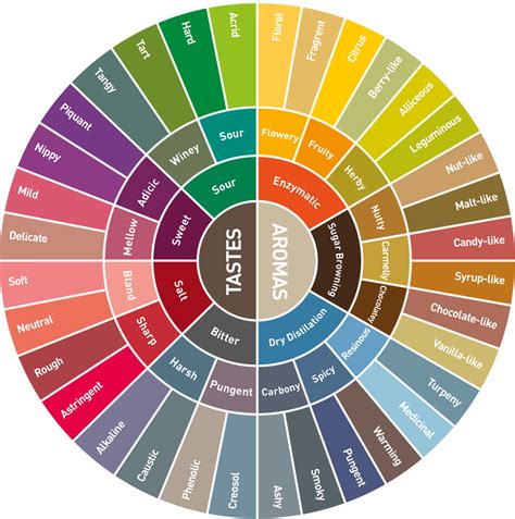 Coffee Pairings and Flavor Profiles Template