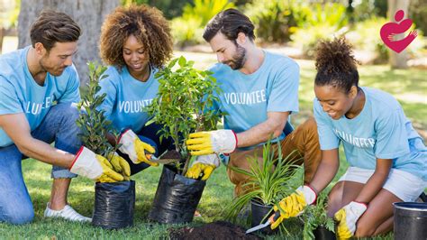 Community Helper Volunteers