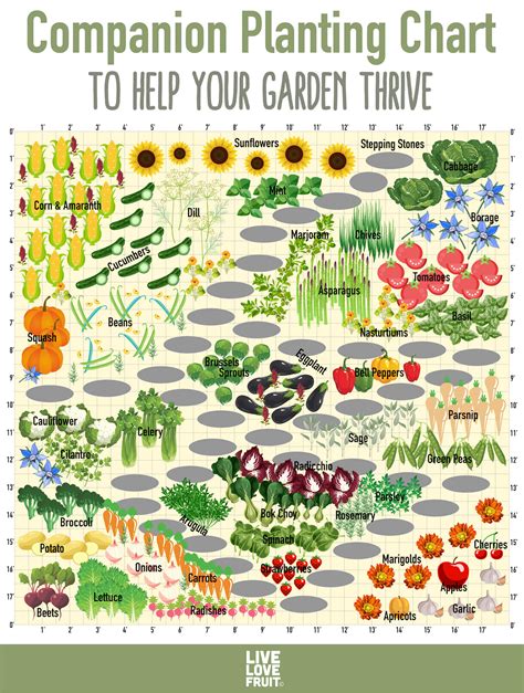 Companion Planting Ideas