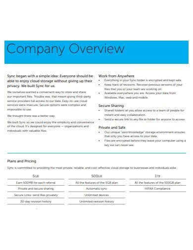 Description of Company Overview Example