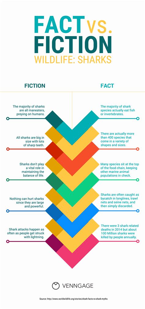 Comparative Infographic Templates