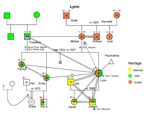 Complex Genogram Example