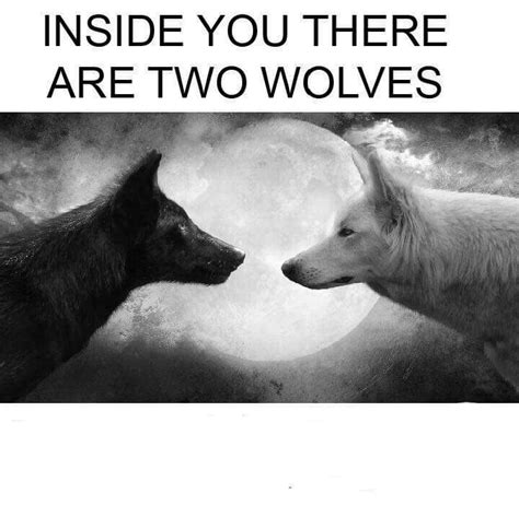 Conclusion and final thoughts on the two wolves meme