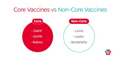 Core Vaccines