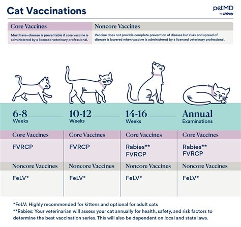 Core Vaccines for Cats