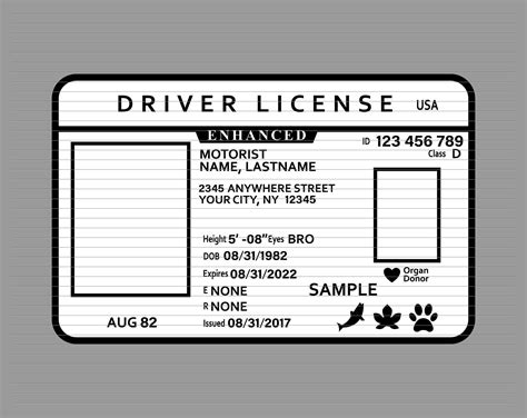 Steps to Create an Editable Blank Drivers License Template