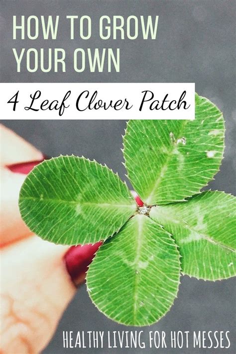 How to Create Your Own Four Leaf Clover Printable Template