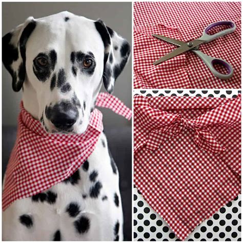 Creating a dog bandana