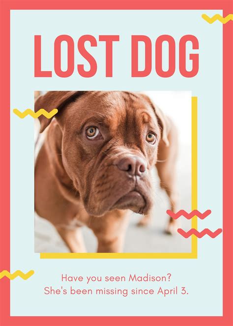 Creating Lost Dog Flyer