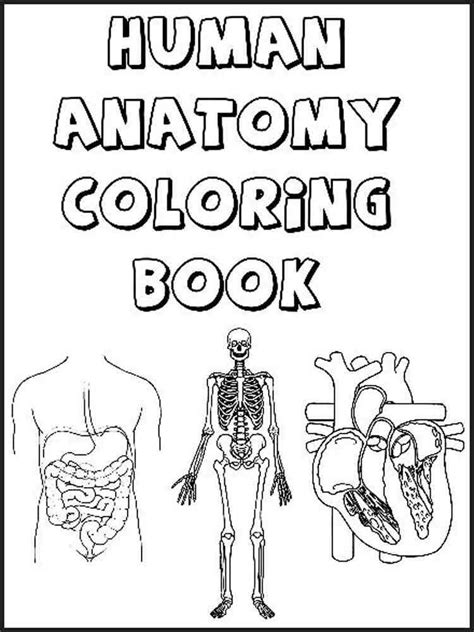 Creating Your Own Human Anatomy Coloring Pages