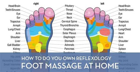 Creating Your Own Reflexology Chart