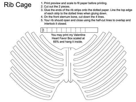 Creating Your Own Rib Cage Template