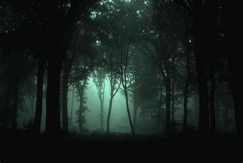 Creepy Woods Template