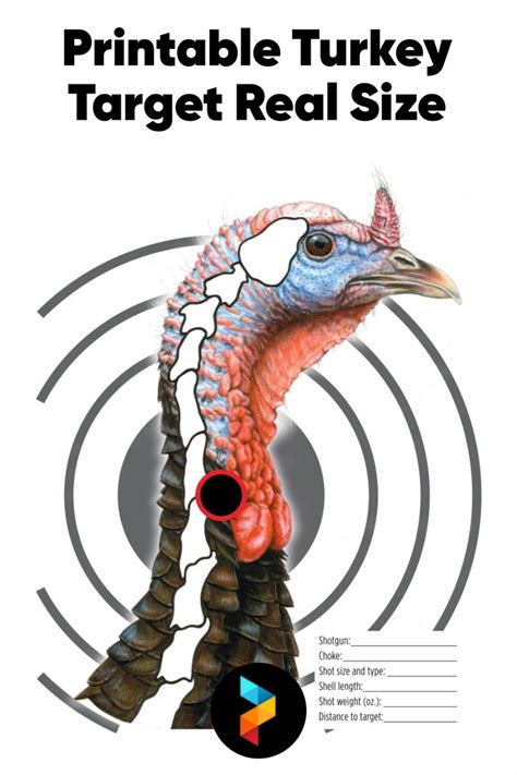 Customizing Your Practice with Free Printable Turkey Targets