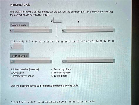 Applications of Cycle Diagrams