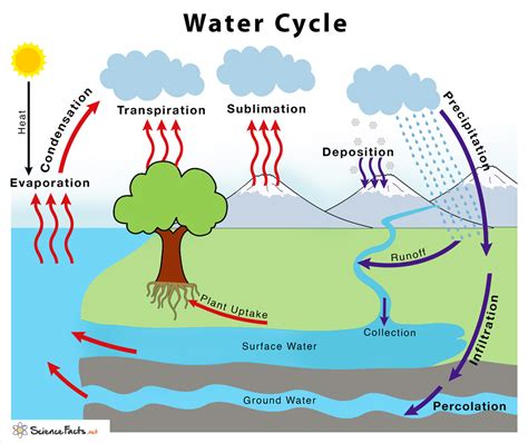 Cycle Diagrams Example