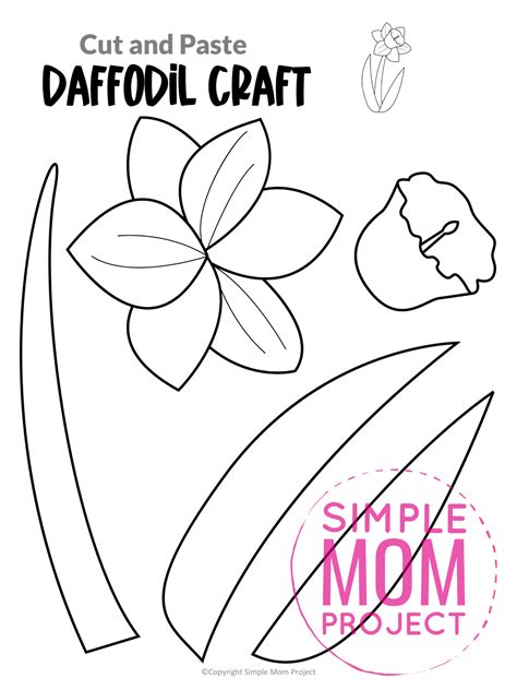 Daffodil flower template