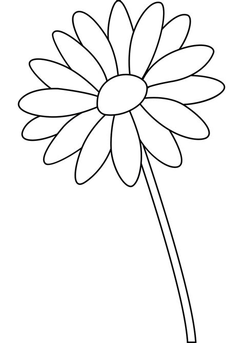 Daisy educational templates