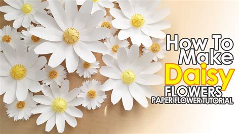 Daisy template tutorials for beginners