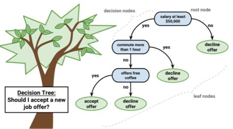 Decision Tree Real Life Examples