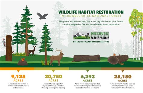 Description of Deer Habitat Restoration