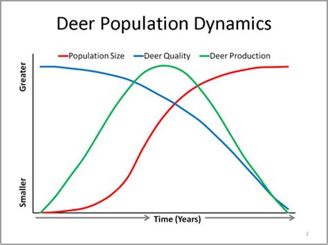 Description of Deer Population Dynamics